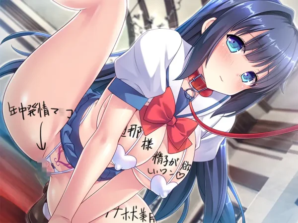 【ゲーム】巨根旦那様に土下座懇願して子種を注いでもらう清楚系オナホ妻|ブランド:Norn/Miel/Cybele